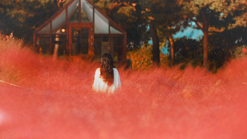 VIOLA / For Surviving 스틸 03